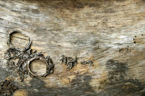 Free Stock Photo of Wood texture