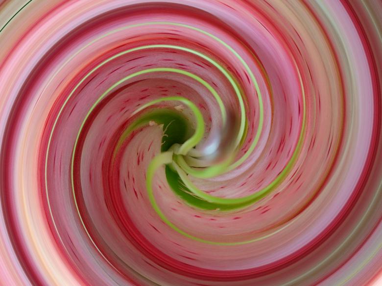 Free stock image of flower twirl created by Heather Elaine Kitchen