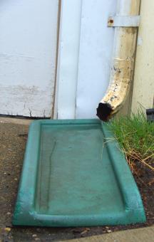 rain spout - Free Stock Photo