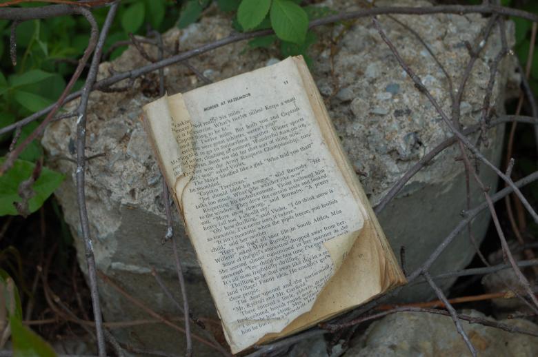 Free stock image of Abandoned Book created by Mark Manalaysay