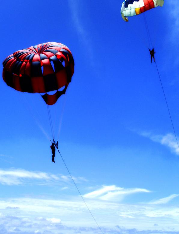 Free stock image of Gliding in the sky created by Didi Supardi