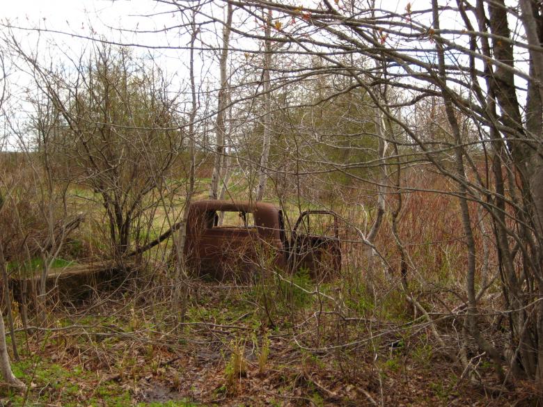 Free stock image of Car wreck in the woods created by Chris Maclellan