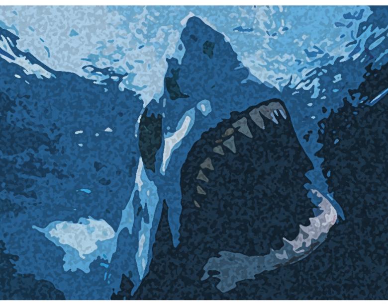 Free stock image of blue shark sketch created by Tim Girard