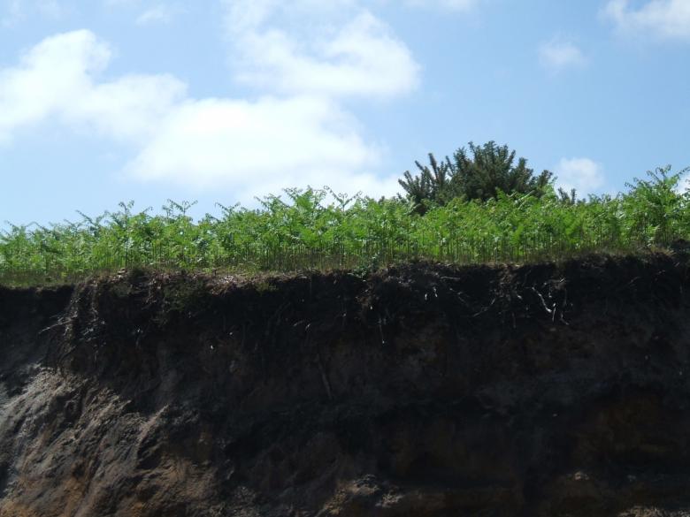 Free stock image of Almost at the top created by david chapman