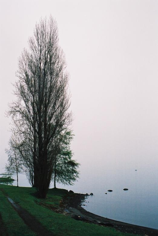Free stock image of New Zealand landscape created by Asaf Brenner