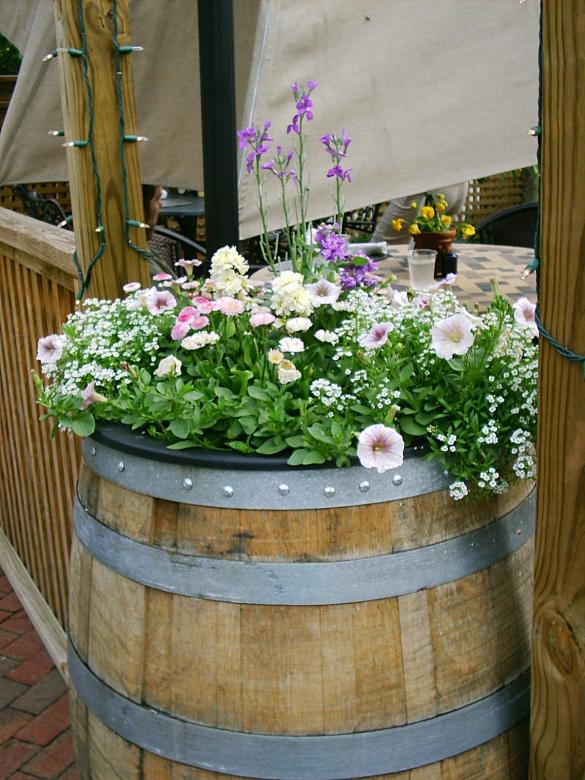 Free stock image of Flowers in a barrel created by Maria Kuroshchepova