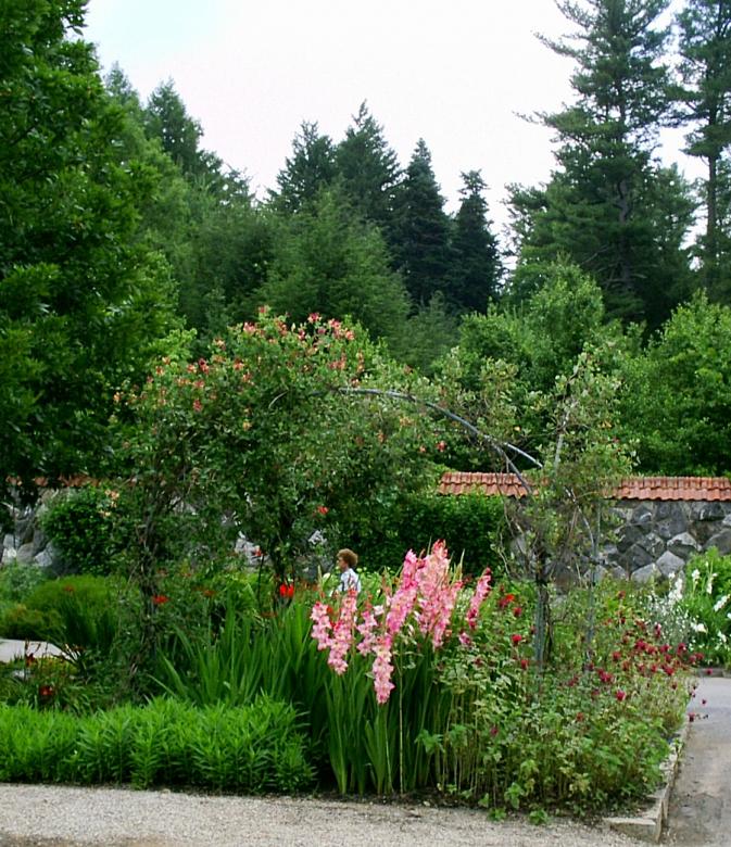 Free stock image of Flower gardens created by Maria Kuroshchepova