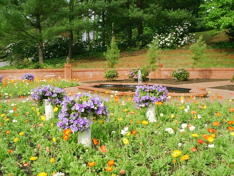 Free stock image of Flower gardens created by Maria Kuroshchepova