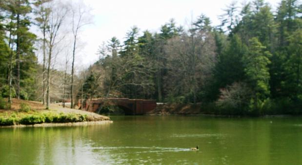 Biltmore estate bass pond - Free Stock Photo