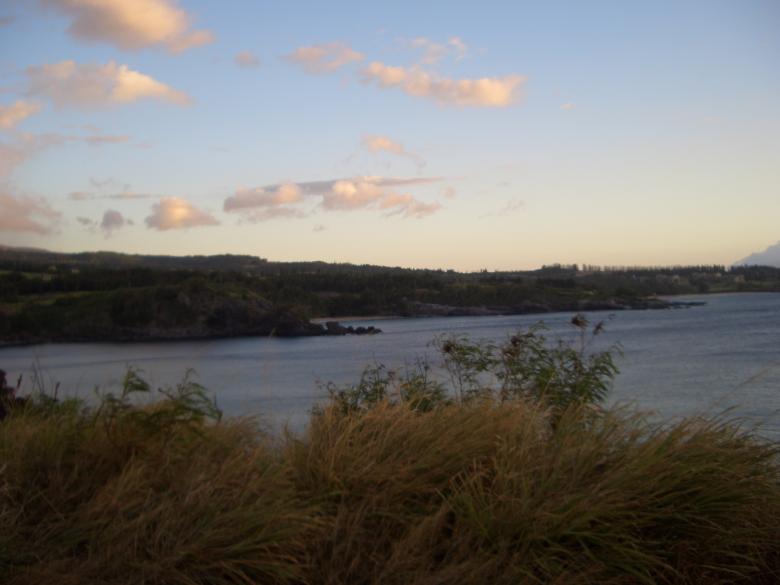 Free stock image of Hawaiian landscape created by skaanland