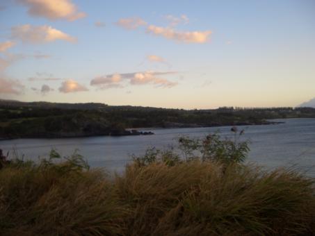 Hawaiian landscape - Free Stock Photo