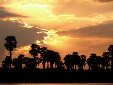 African sunset silhouette - Free Stock Photo