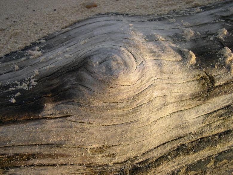 Free stock image of Driftwood closeup created by Jackie Skeate