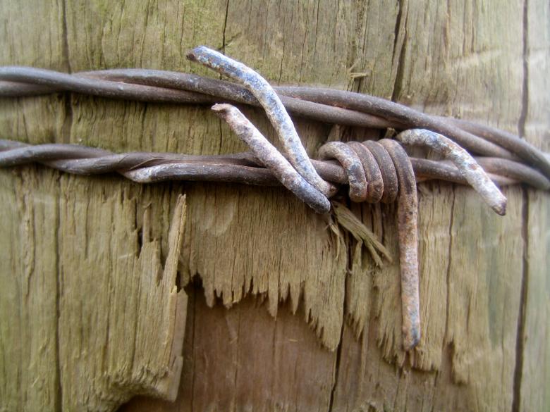 Free stock image of Barbed wood created by David Hawkins