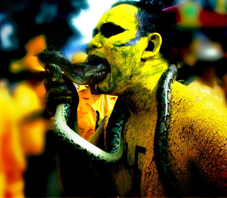 Free stock image of Snake eater created by Didi Supardi