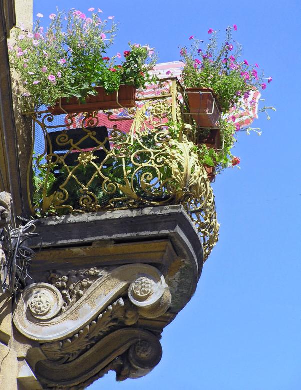 Free stock image of Sunny balcony created by RositaSo Image