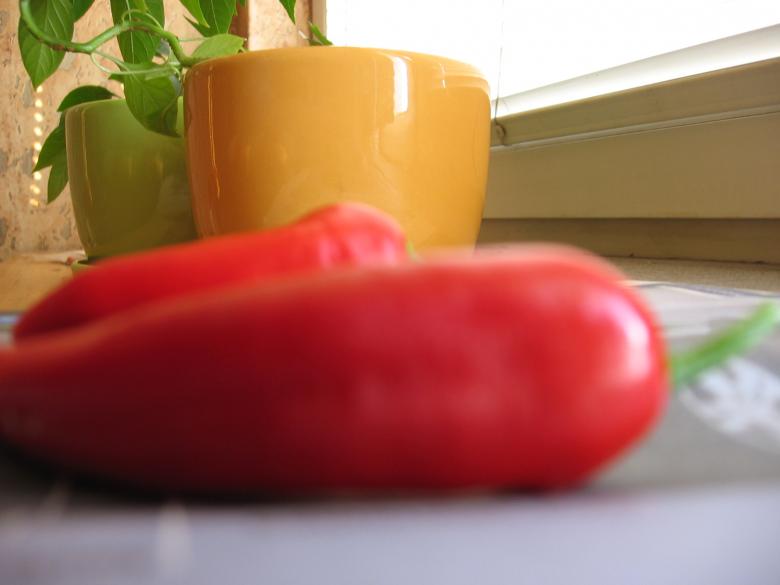 Free stock image of Potted chili created by Szymon Kaczmarczyk