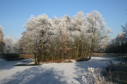 Winter - Free Stock Photo