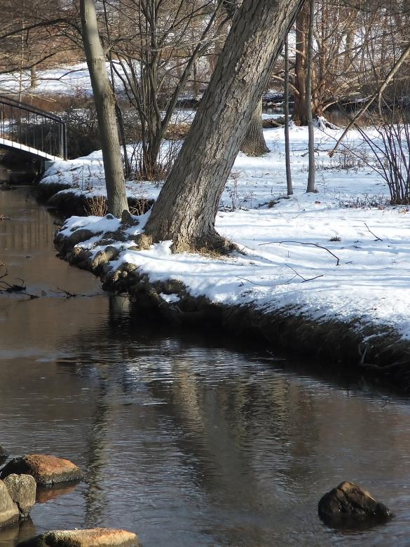 Free stock image of Winter Creek created by Heather Elaine Kitchen