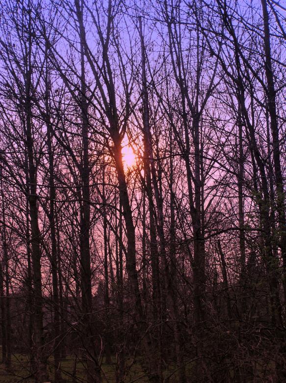 Free stock image of Autumns sunset created by RositaSo Image