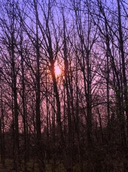 Autumns sunset - Free Stock Photo