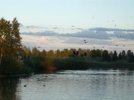 The lake - Free Stock Photo