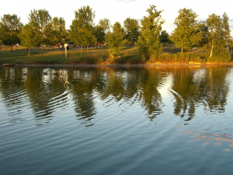 Free stock image of The lake created by Simon Wong