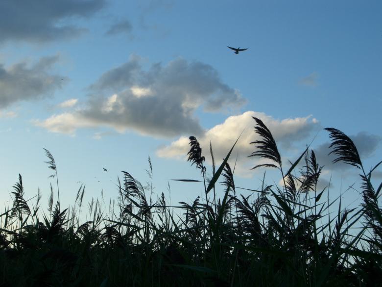 Free stock image of The sky created by Simon Wong