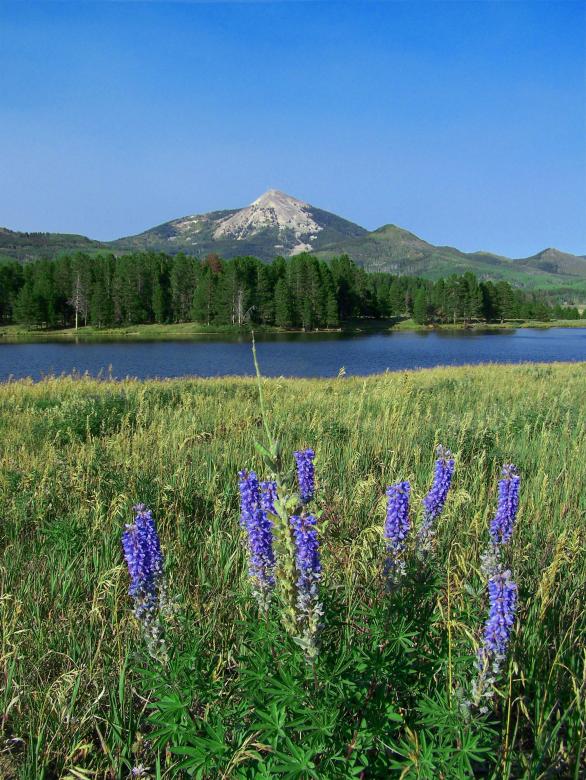 Free stock image of Landscape created by casey carpenter
