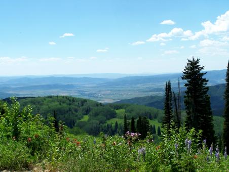 Landscpe - Free Stock Photo