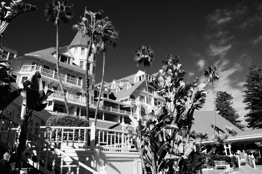Coroado San Diego - Free Stock Photo