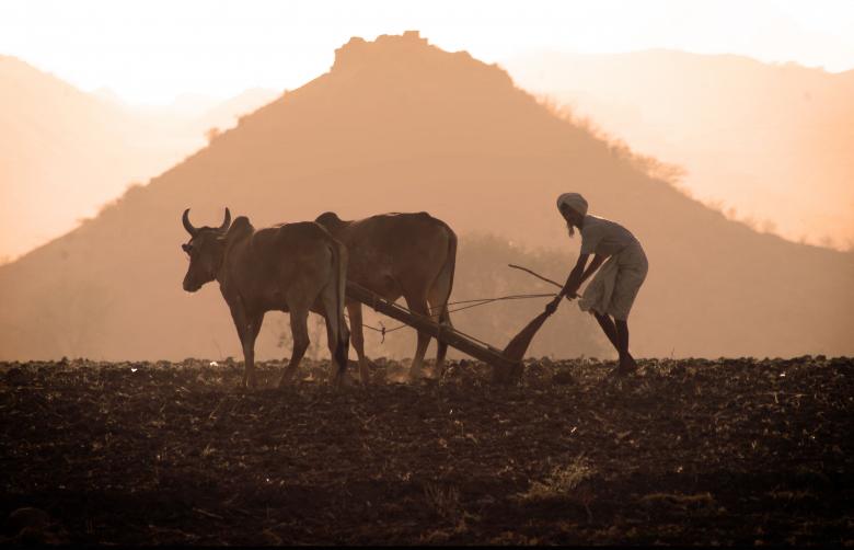 Free stock image of Farmer at work created by Prakash Hatvalne