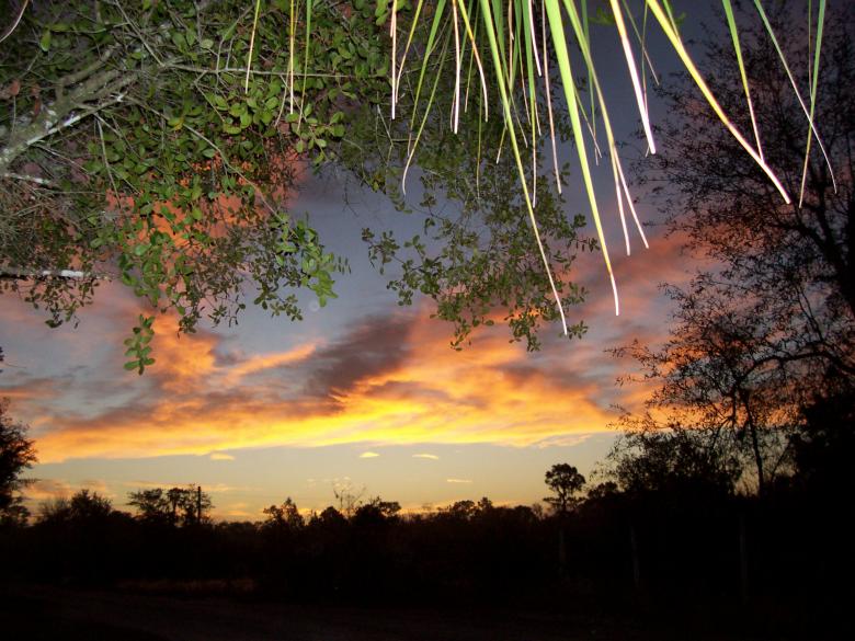 Free stock image of Florida christmas morning created by joy sheppard