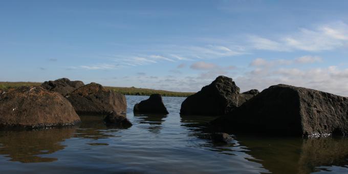 Icelandic Landscape - Free Stock Photo