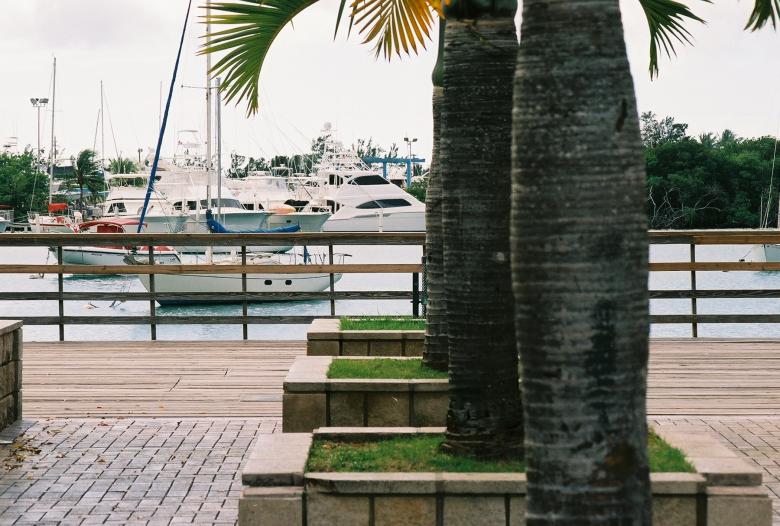 Free stock image of Walkway by the sea created by Jesus Baez