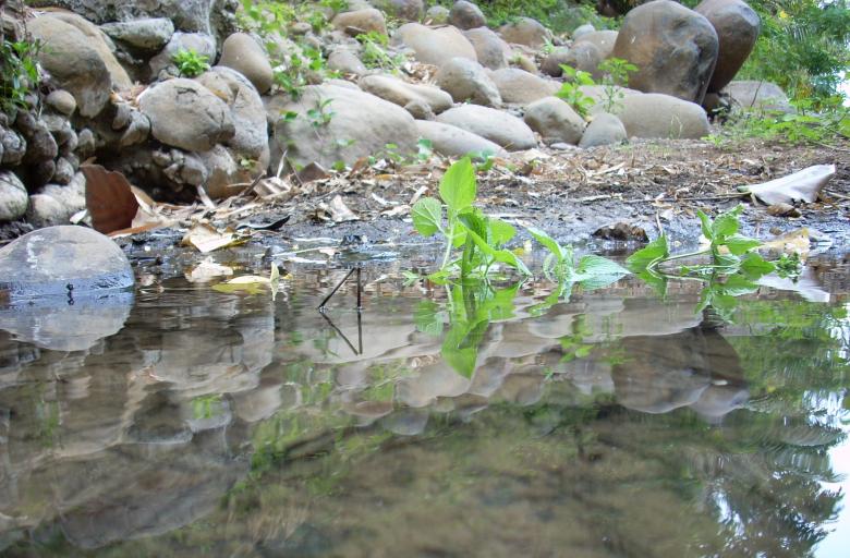 Free stock image of The River created by Rhema Prabhata