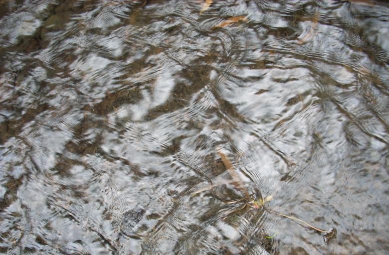 Free stock image of Fresh Water created by Rhema Prabhata