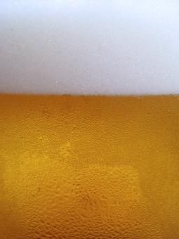 Beer Frost - Free Stock Photo