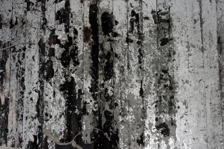 Free stock image of Grunge wooden floor created by Bjorgvin