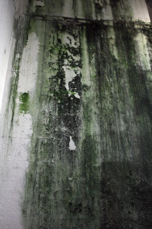 Free stock image of Dirty concrete wall created by Bjorgvin