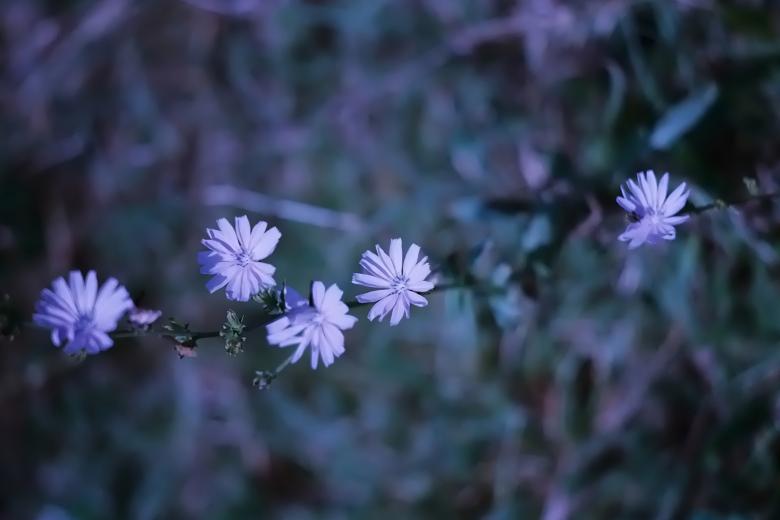 Free stock image of In the blue created by Dan Lavric