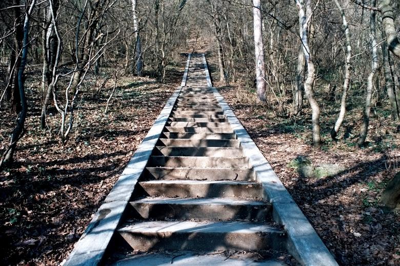Free stock image of Downstairs created by Dan Lavric