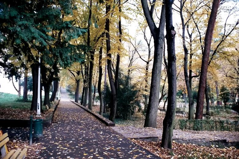 Free stock image of In the park created by Dan Lavric