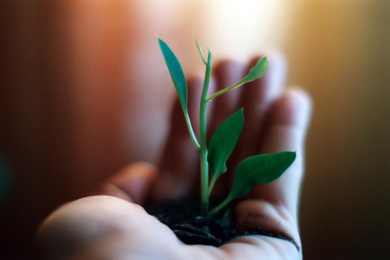 Free stock image of In good hand created by Dan Lavric