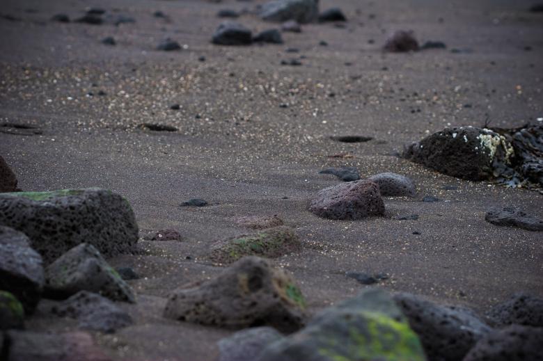 Free stock image of Bed of rocks created by Bjorgvin