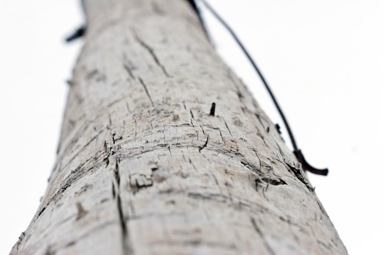 Free stock image of Wooden pole created by Bjorgvin