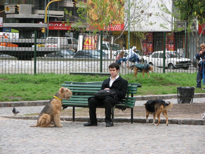 Free stock image of Dog and man created by Barbara Din