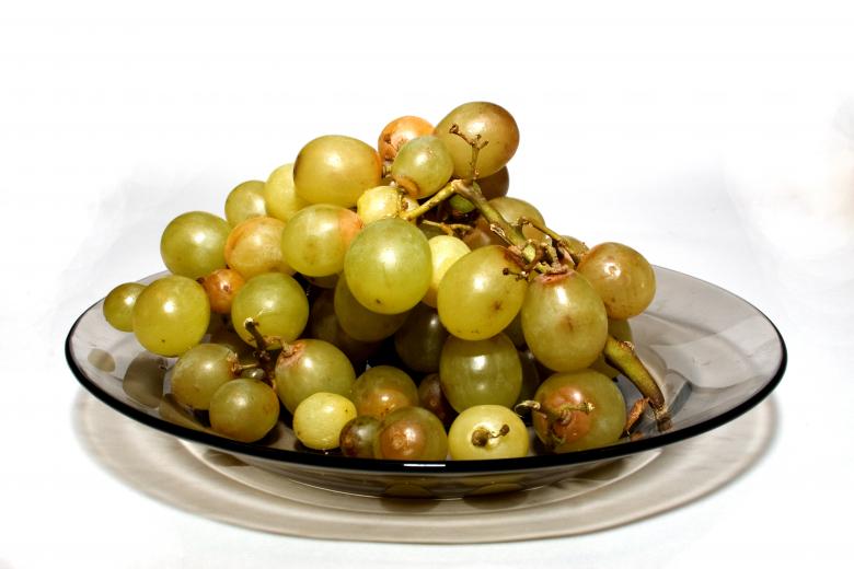 Free stock image of Old vine cluster created by Alexandr