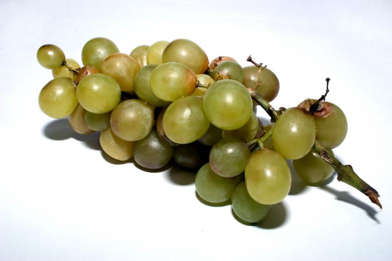 Free stock image of Decaying vine cluster created by Alexandr