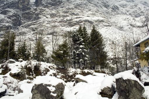 Alpine view - Free Stock Photo